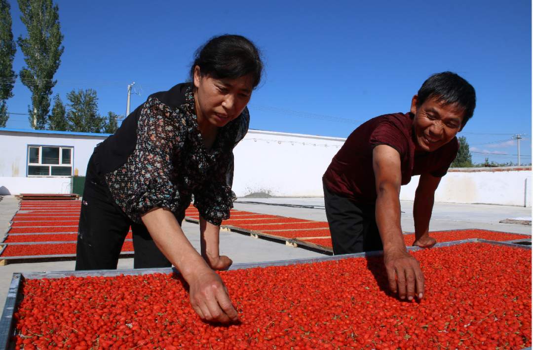 1596972480225282.png?x-oss-process=style/w10