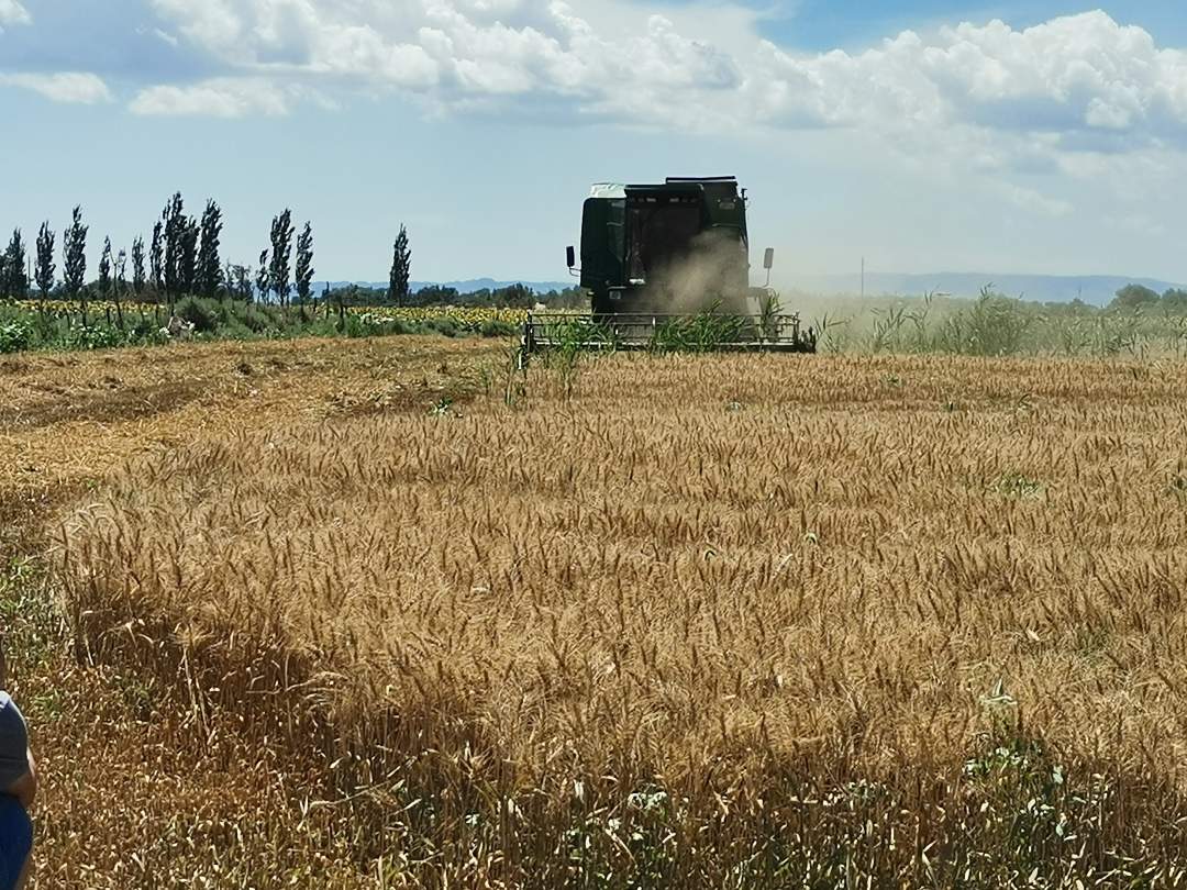 1596972511502719.jpg?x-oss-process=style/w10