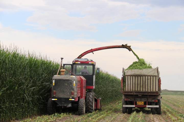 1596972228185569.jpg?x-oss-process=style/w10