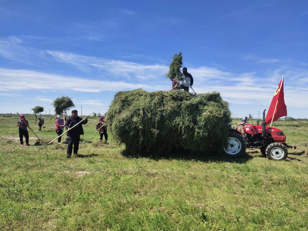 1596972539245122.jpg?x-oss-process=style/w10