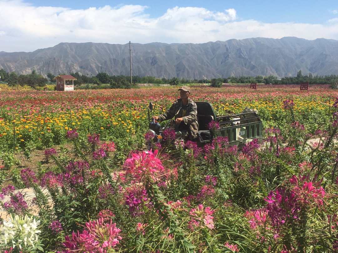 1597805406376009.jpg?x-oss-process=style/w10