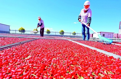 中等收入大軍如何“擴群” 中等收入大軍如何“擴群”