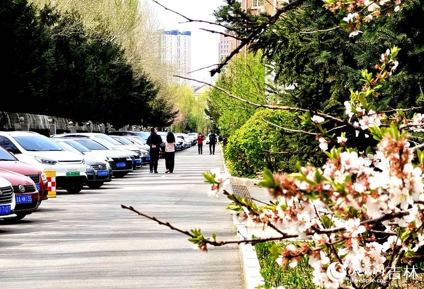 重拾“人間煙火” 吉林省正慢慢“復(fù)蘇”。人民網(wǎng) 關(guān)思聰攝