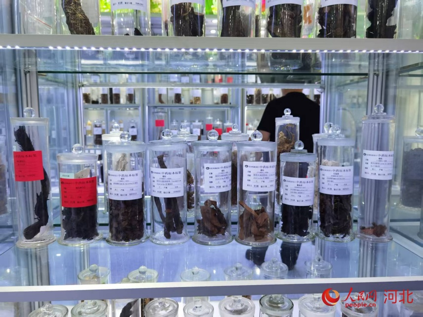 以嶺中醫(yī)藥標本館陳列的真?zhèn)沃兴帯H嗣窬W(wǎng)記者 朱延生攝